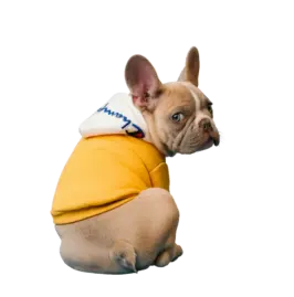 Повернення зоотоварів протягом 14 днів — ZooShopping