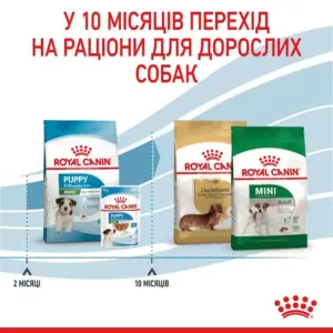 Mini Puppy Royal Canin перехід на корм для дорослих собак
