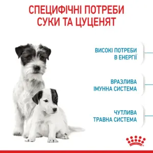 CANIN MINI STARTER специфічні потреби суки та цуценят
