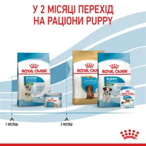 ROYAL CANIN MINI STARTER перехід на раціони Puppy