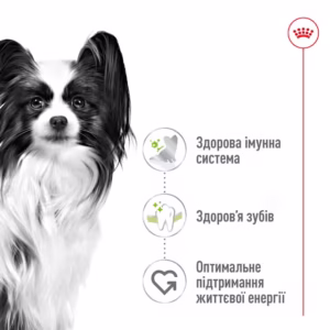 CANIN Xsmall adult сухий корм для міні собак