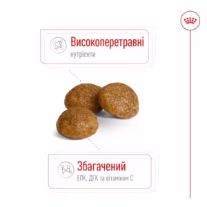 ROYAL CANIN X-small adult сухий корм для собак до 4 кг