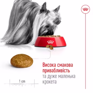 ROYAL CANIN X-small adult корм для мініатюрних собак adult