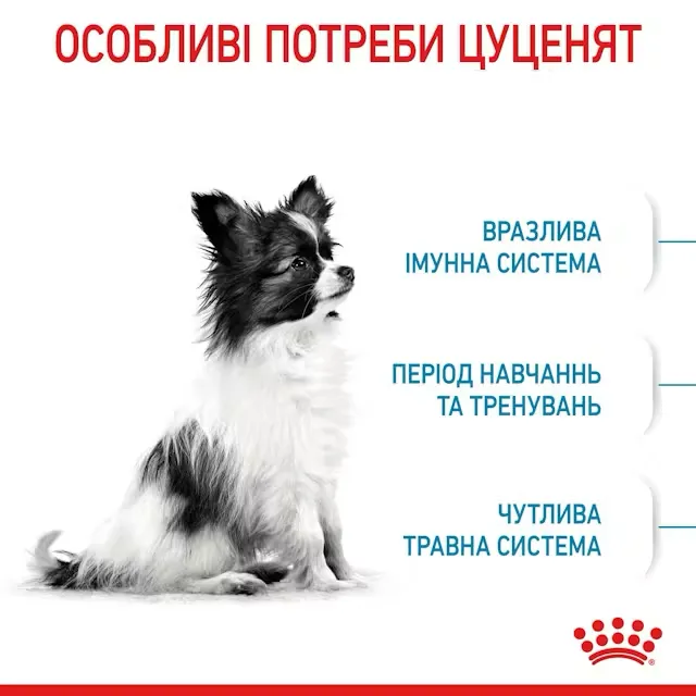 Потреби цуценят, які враховує корм Royal Canin X-Small Puppy Особливі потреби цуценят дрібних порід — Royal Canin X-Small Puppy