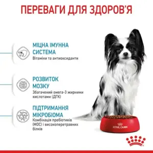 Переваги корму Royal Canin X-Small Puppy для здоров’я цуценят дрібних порід