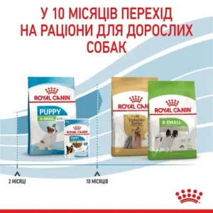 Перехід з Royal Canin X-Small Puppy на корм для дорослих собак у 10 місяців