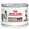 Консервна банка корму для тварин Royal Canin Recovery з зображенням собак і котів.