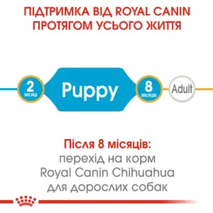 Інформаційний плакат про корм Royal Canin для цуценят і дорослих собак.