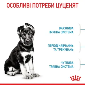 Цуценя з чорним і білим хутром сидить на білому фоні з текстом про його особливі потреби.