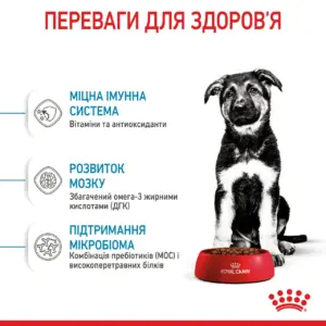 Щеня стоїть біля червоної миски з кормом, на фоні тексту про переваги для здоров'я.