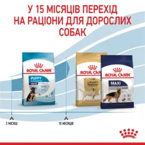 Пакети корму для собак Royal Canin з інформацією про перехід на раціони для дорослих собак.