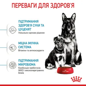 Два собаки, дорослий і щеня, сидять поруч з мискою корму Royal Canin.