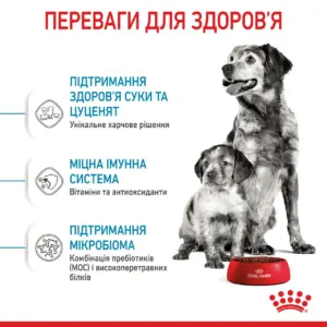 Два собаки стоять поруч з мискою для їжі бренду Royal Canin, на фоні тексту про переваги для здоров'я.