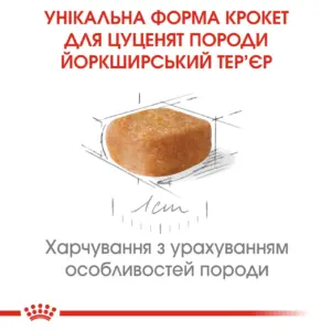 Крокет для цуценят йоркширського тер'єра з унікальною формою