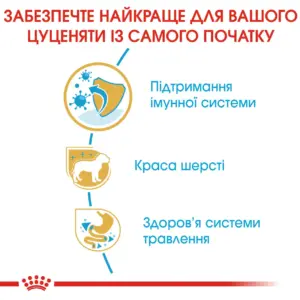 Інфографіка про переваги харчування для цуценят, включаючи підтримку імунної системи, красу шерсті та здоров'я системи травлення.