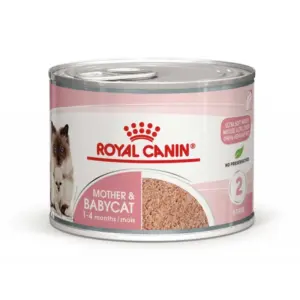 Консервована їжа для котів Royal Canin для матері та кошенят.