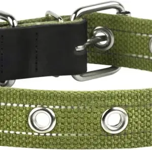 Нашийник CoLLaR Брезент для собак бавовняний 25мм х 53см