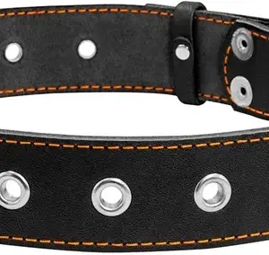 Нашийник CoLLaR безрозмірний 35мм для великих собак чорний 69см