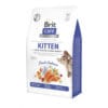 Пакет корму для кошенят Brit Care з написом 'Fresh Salmon' та зображенням риби і фруктів.