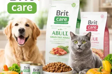 Золотистий ретривер і кіт сидять поруч з кормами та свіжими продуктами для тварин.