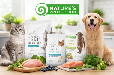 Кіт і собака поруч з упаковками корму для тварин на кухонному столі.